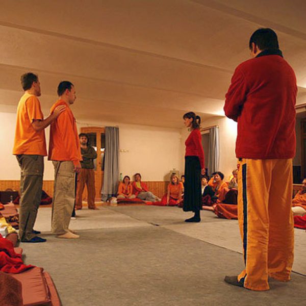 family constellation a therapist perspective